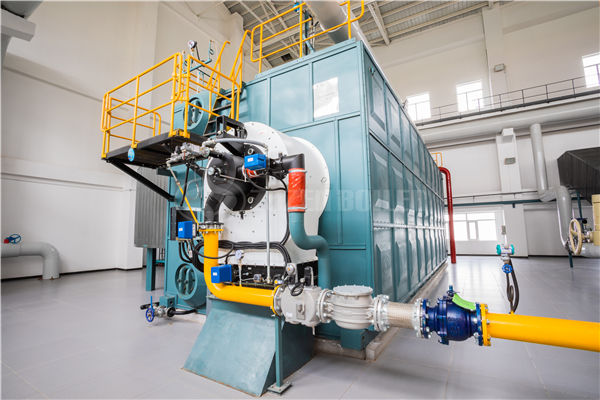 23.3 MW YQL thermal fluid heater for chemical industry