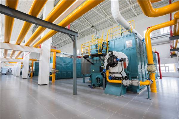 1.2 MW YYW thermal fluid heater for food waste processing industry