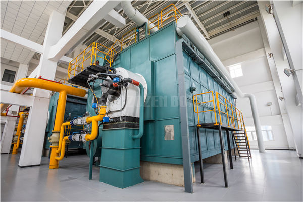 6 tph WNS series condensing gas-fired steam boiler for food industry