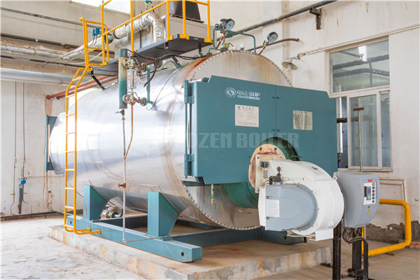 4 tph WNS series condensing gas-fired steam boiler project for textile industry