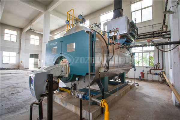 0.5 tph WNS series condensing gas-fired steam boiler for plastic industry