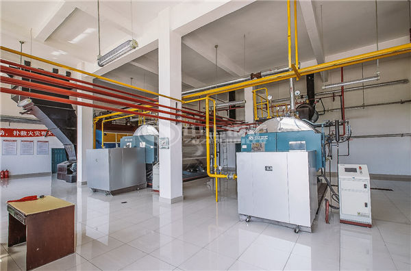 10 tph WNS condensing gas-fired boiler rubber plant