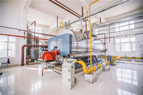 10tph eco-friendly WNS series gas-fired and oil-fired steam boiler project for the paper industry