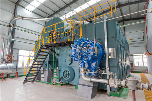 20 tph SZS condensing gas-fired steam boiler for paper factory