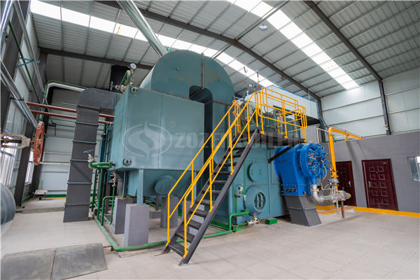 6 tph WNS series condensing gas-fired steam boiler for food industry