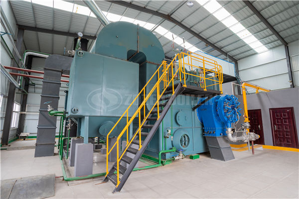 6 tph WNS condensing gas-fired steam boiler to Inner Mongolia