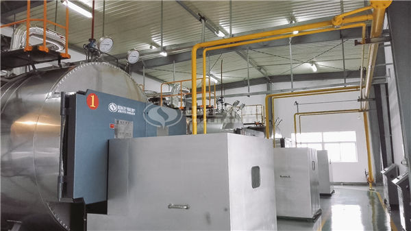 8 tph WNS gas-fired firetube boiler project for chemical industry