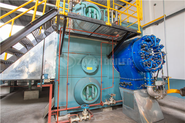 4.8MW YLW coal-fired thermal fluid heater for daily chemical