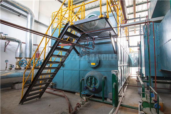4 tph DZL biomass-fired steam boiler for photovoltaic factory