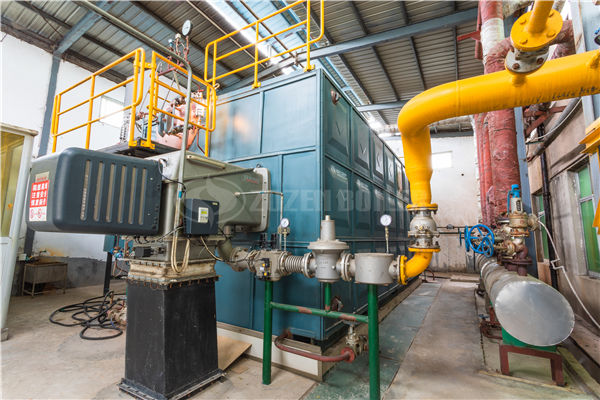 4tph WNS gas-fired firetube boiler project for food industry