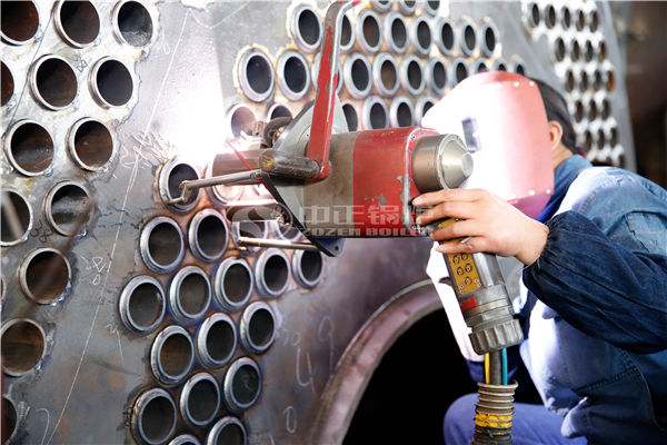 2 tph WNS condensing gas-fired steam boiler for chemical industry