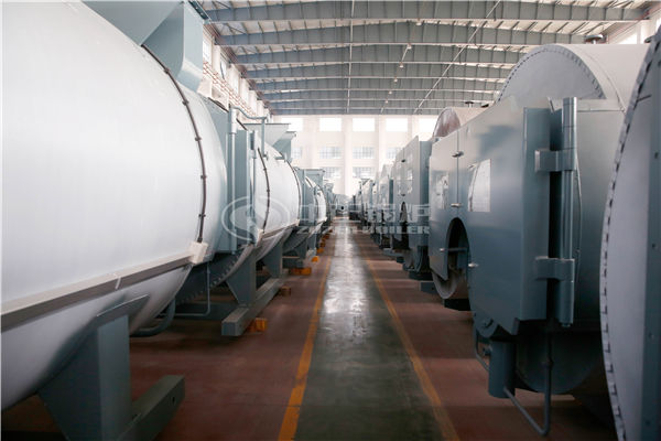 1.4 MW thermal fluid heater in Singapore