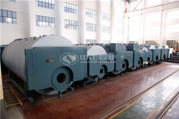 6 MW YYW thermal fluid heater for petrochemical factory