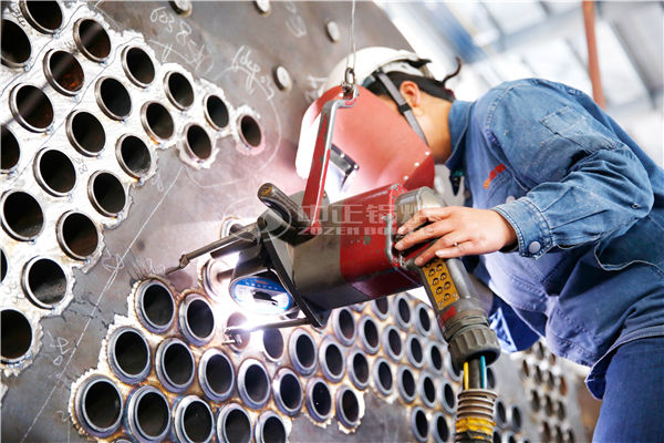 4 tph WNS series condensing gas-fired steam boiler project for universities