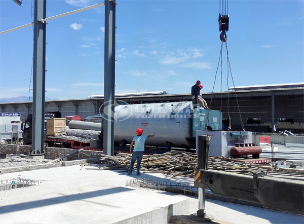 4 tph DZL biomass-fired steam boiler for photovoltaic factory