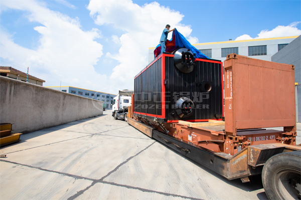 20 tph WNS gas-fired steam boiler for milk products plant