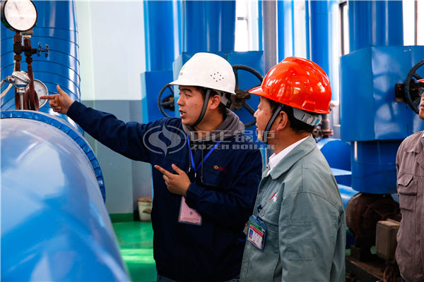 10 tph SZW biomass-fired steam boiler for pharmaceutical factory