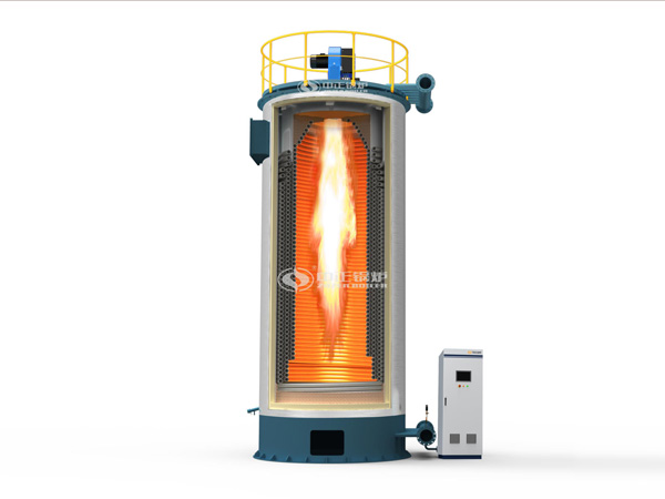 10tph SZL coal-fired water tube boiler project for edible oil industry