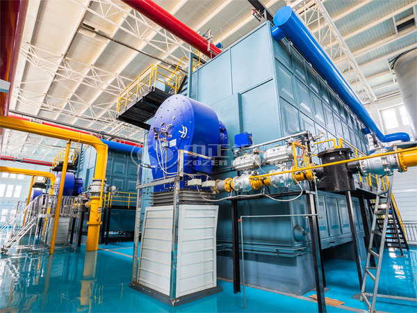 12 tph DZL biomass steam boiler for sugar refinery