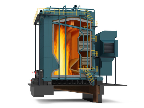 2tph WNS series gas-fired steam boiler project for feed industry