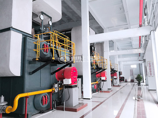 20 tph SZS gas-fired steam boiler for cigarette factory