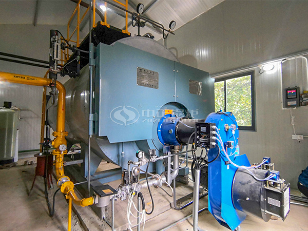 20 tph SZS condensing gas-fired steam boiler for paper industry