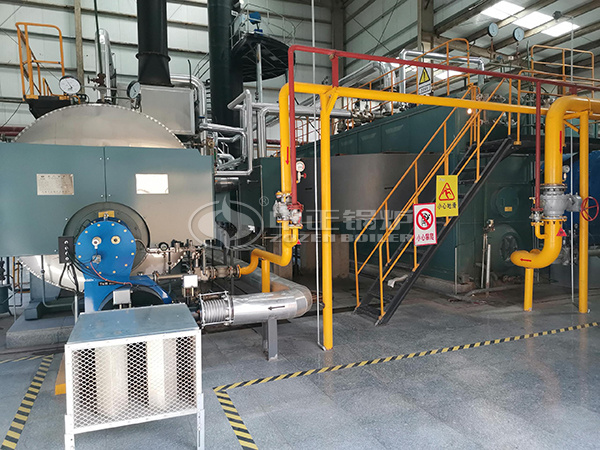 10tph SZL coal-fired water tube boiler project for edible oil industry