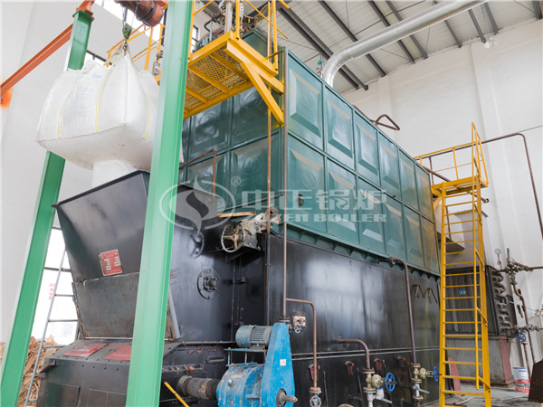 2tph WNS series gas-fired steam boiler project for feed industry