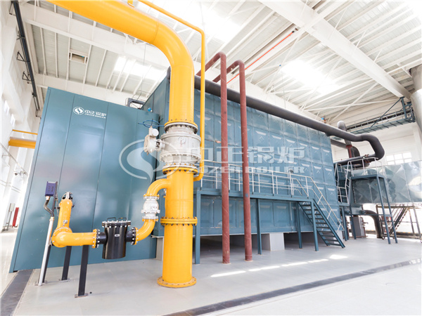 4.2MW WNS series heavy oil fired hot water boiler project for textile industry