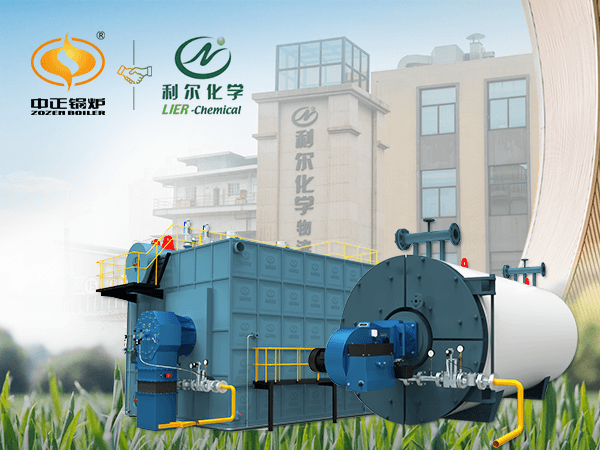 10 tph SZL coal-fired steam boiler for cigarette factory