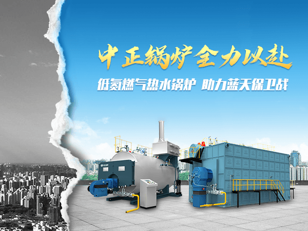 6 tph WNS condensing gas-fired steam boiler for pharmaceutical factory