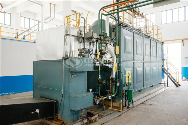 8 tph DZL biomass-fired steam boiler for textile factory