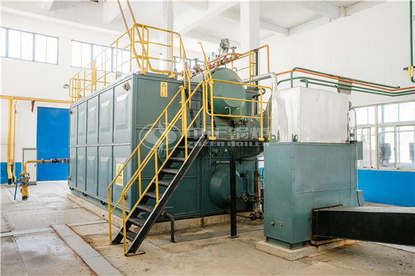 25 tph SZL series chain grate steam boiler for Balasu coal mine project