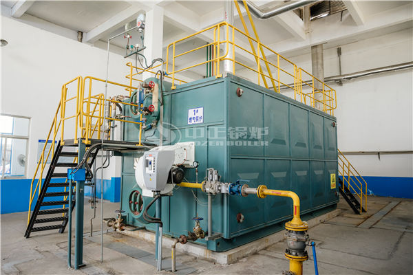 30 tph steam boiler for starch plant