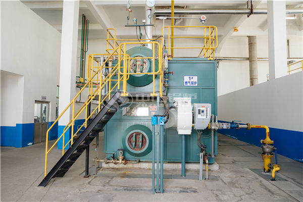 10 tph DZL biomass-fired boiler for heating