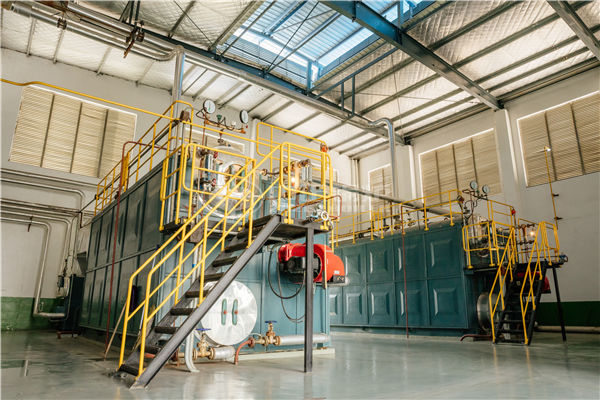 4tph WNS series gas-fired steam boiler for Bioland