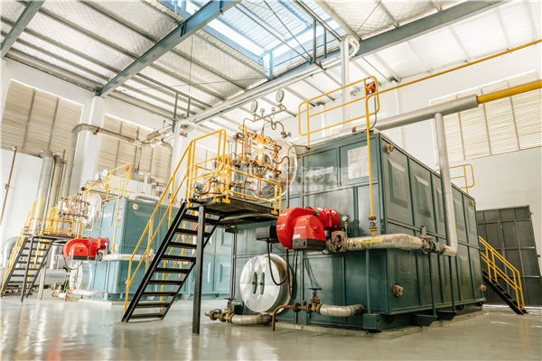 6 tph SZL coal-fired steam boiler for rubber industry