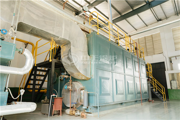 10tph WNS fire tube boiler project for new energy industry