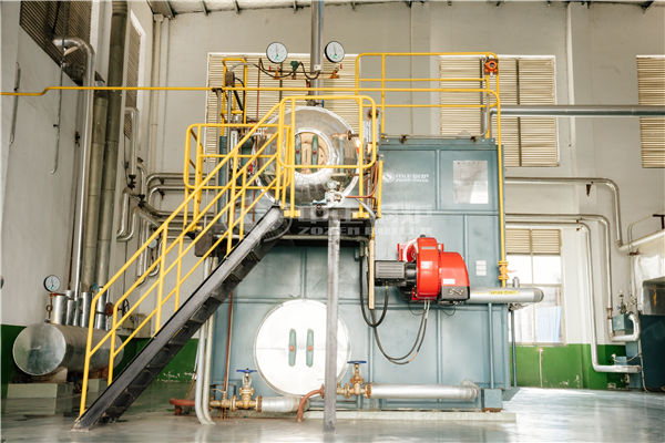 4 tph WNS condensing gas-fired boiler for feed industry