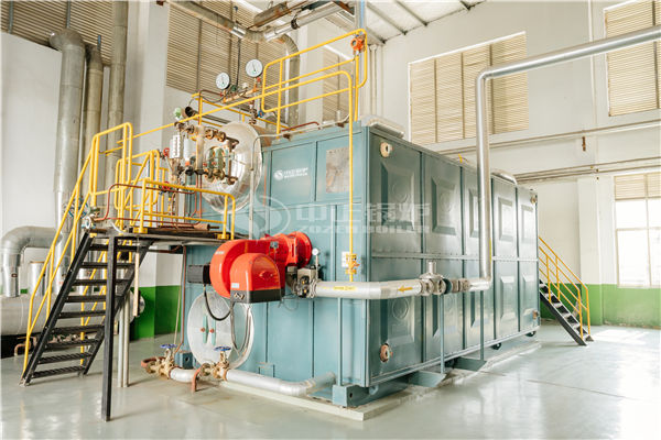 10 tph WNS series gas-fired fire tube boiler project for chemical industry
