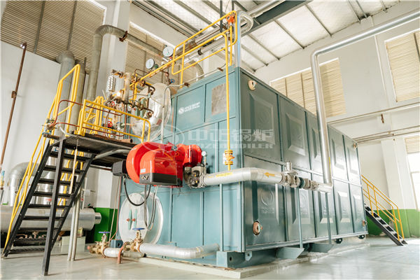 9.4MW YQW gas-fired thermal fluid heater for clean-energy industry