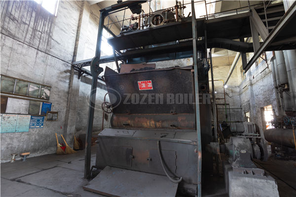 25 tph SZS condensing gas-fired steam boiler project for food industry