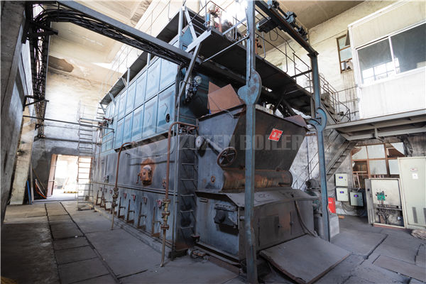 6 tph WNS series condensing gas-fired steam boiler for food industry