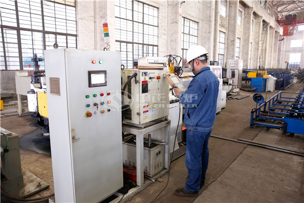 4 tph DZL biomass-fired steam boiler for pharmaceutical industry