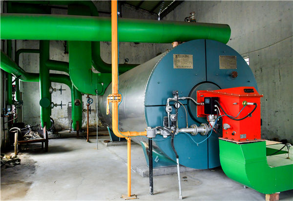 2 tph WNS condensing gas-fired steam boiler for chemical industry