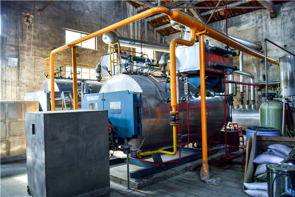 40 tph SZS condensing gas-fired boiler in Jiangxi