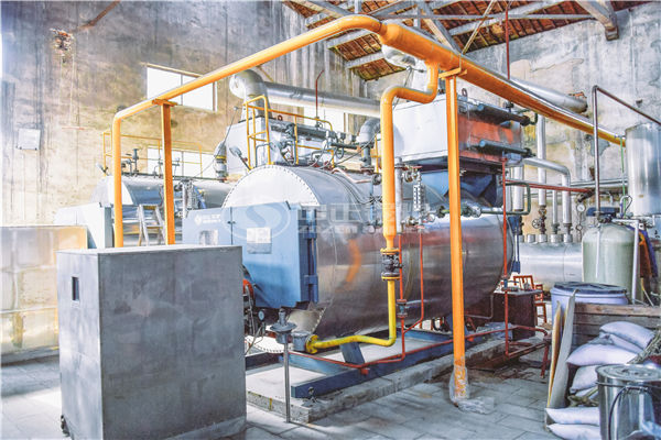 4 tph WNS series gas-fired fire tube boiler project for chemical industry