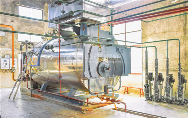 20 tph SZS condensing gas-fired steam boiler for paper factory