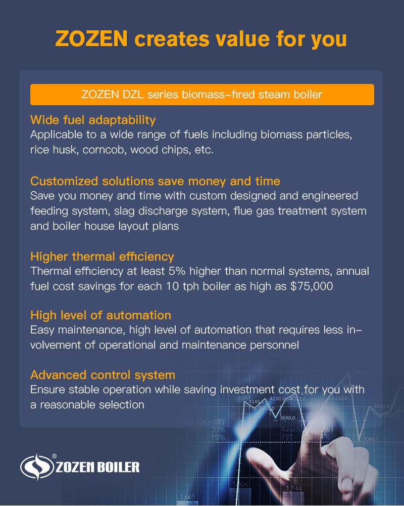 The structure of DZL series biomass-fired steam boiler